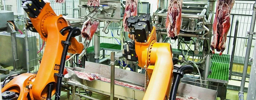 RFID solutions for slaughter houses with animal identification and traceability